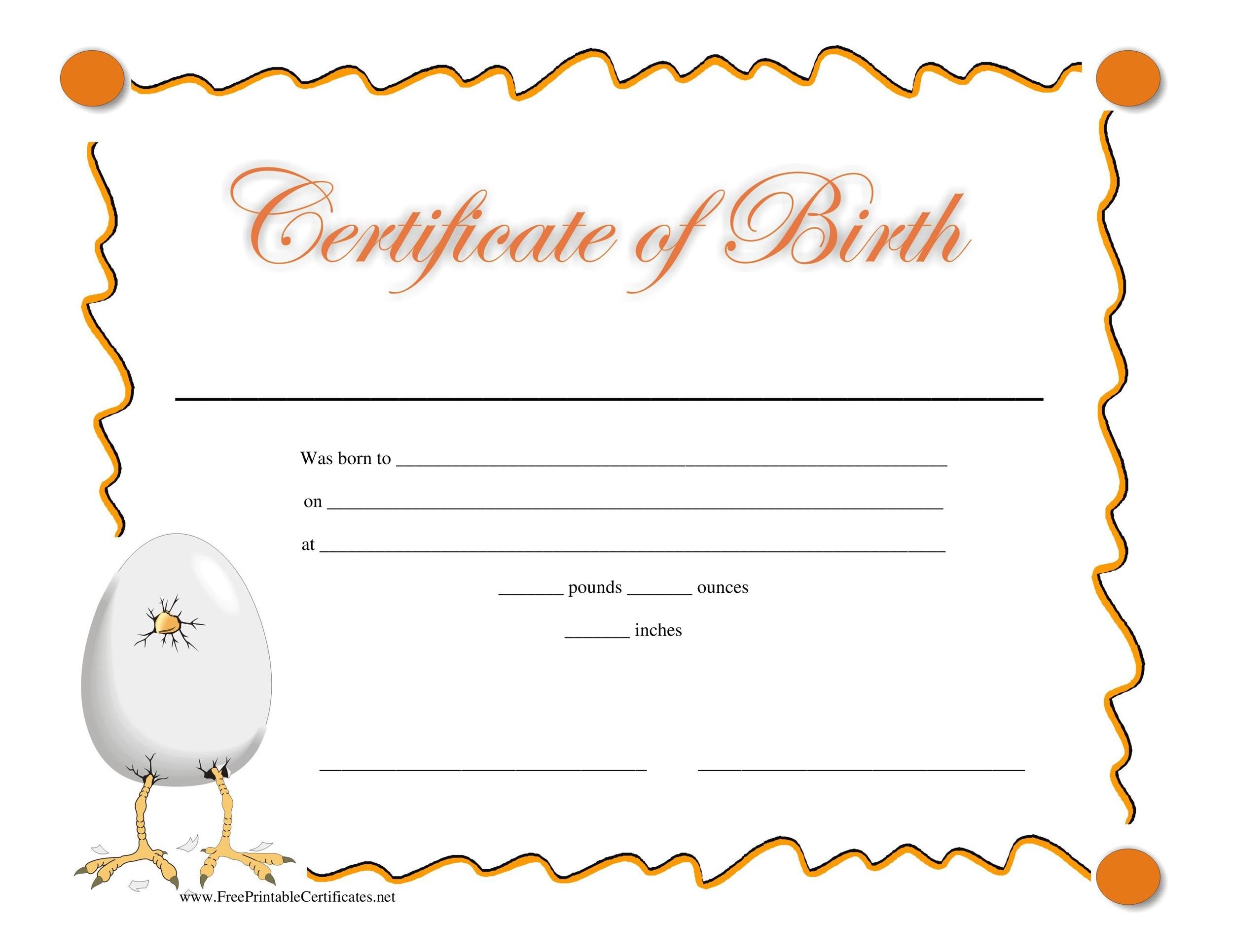 BIRTH CERTIFICATE - FAQ For Editable Birth Certificate Template