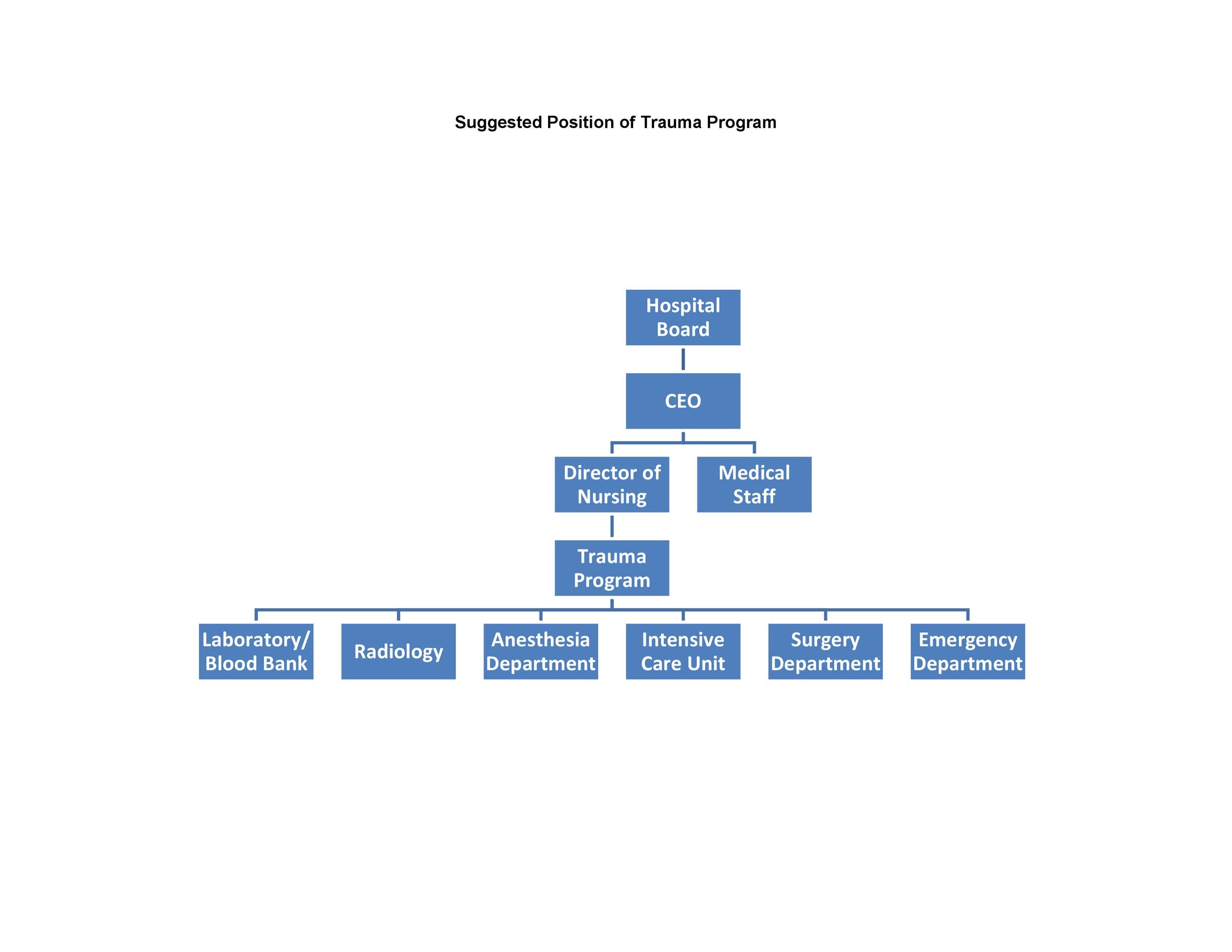 Event Organizational Chart Template