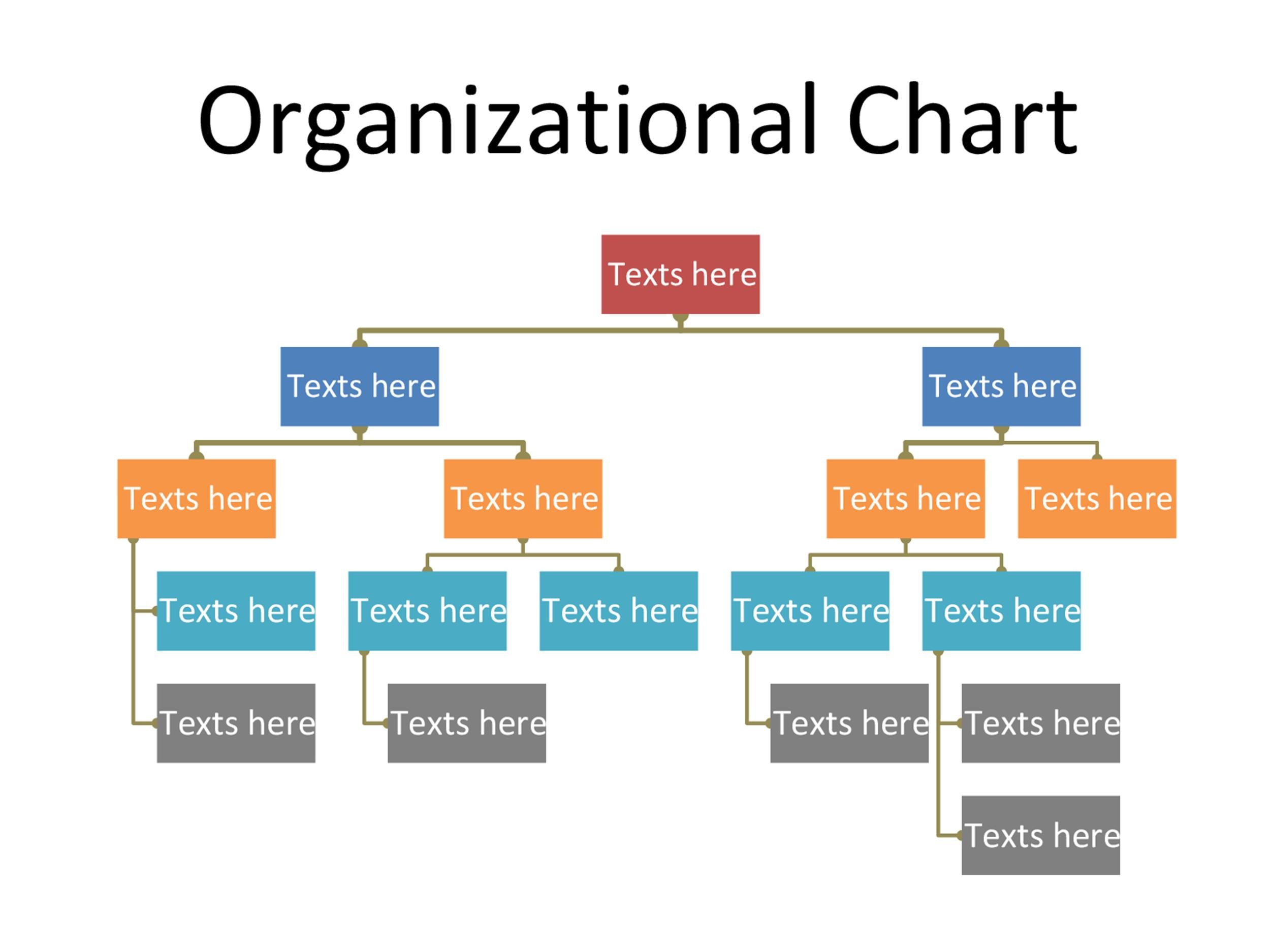 Project Organization Structure Chart
