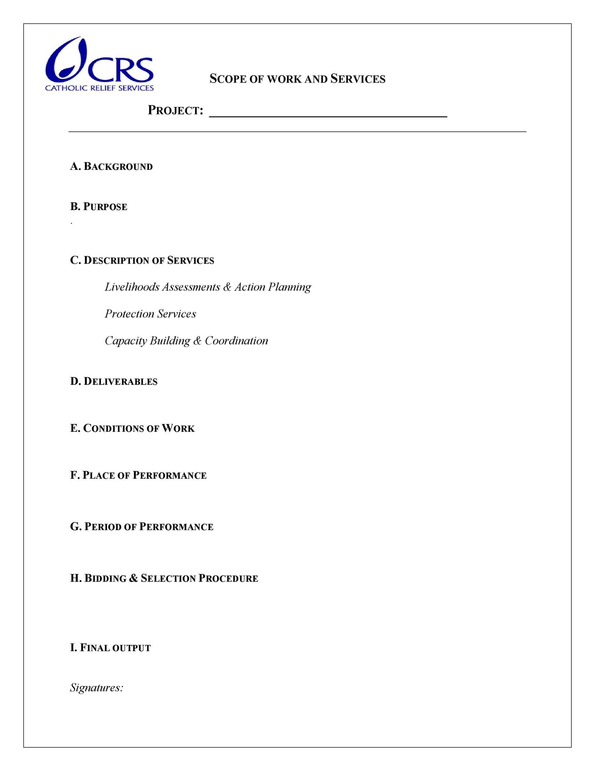 Professional Services Scope Of Work Template