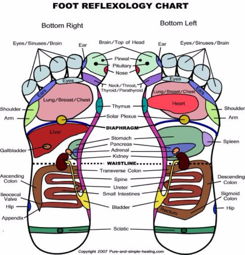 Reflexology Chart Right Foot