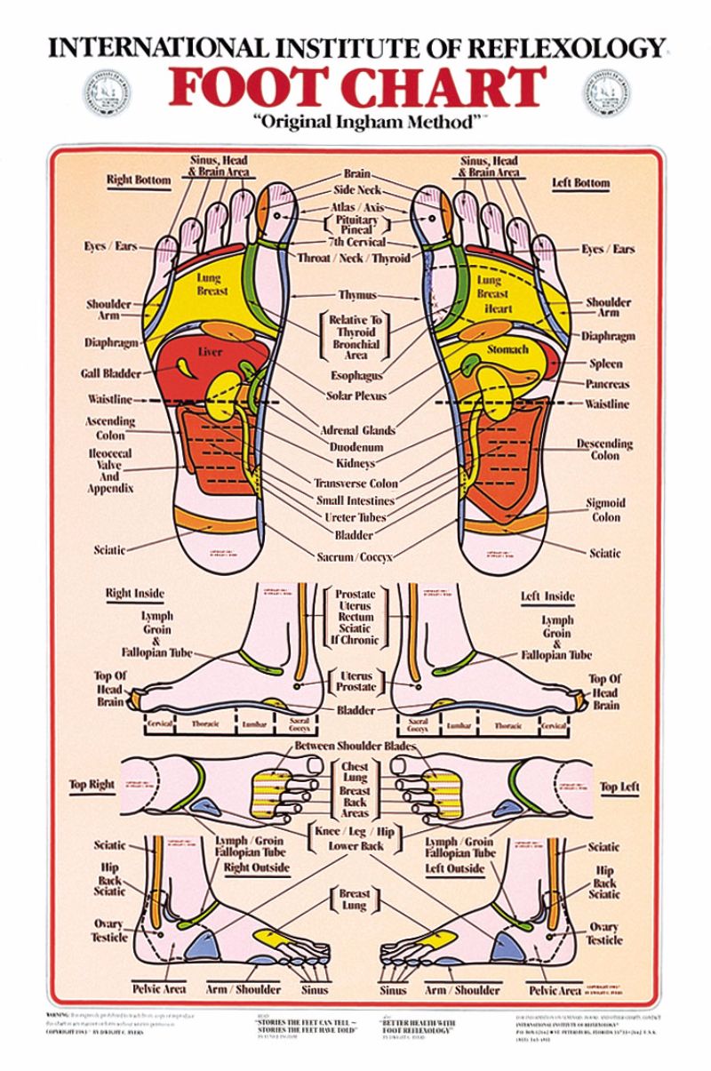 Large Reflexology Foot Chart