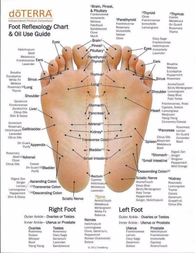 Top Of Foot Pressure Points Chart