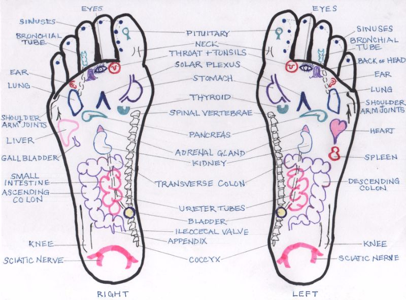 Nerve Endings In Feet Chart