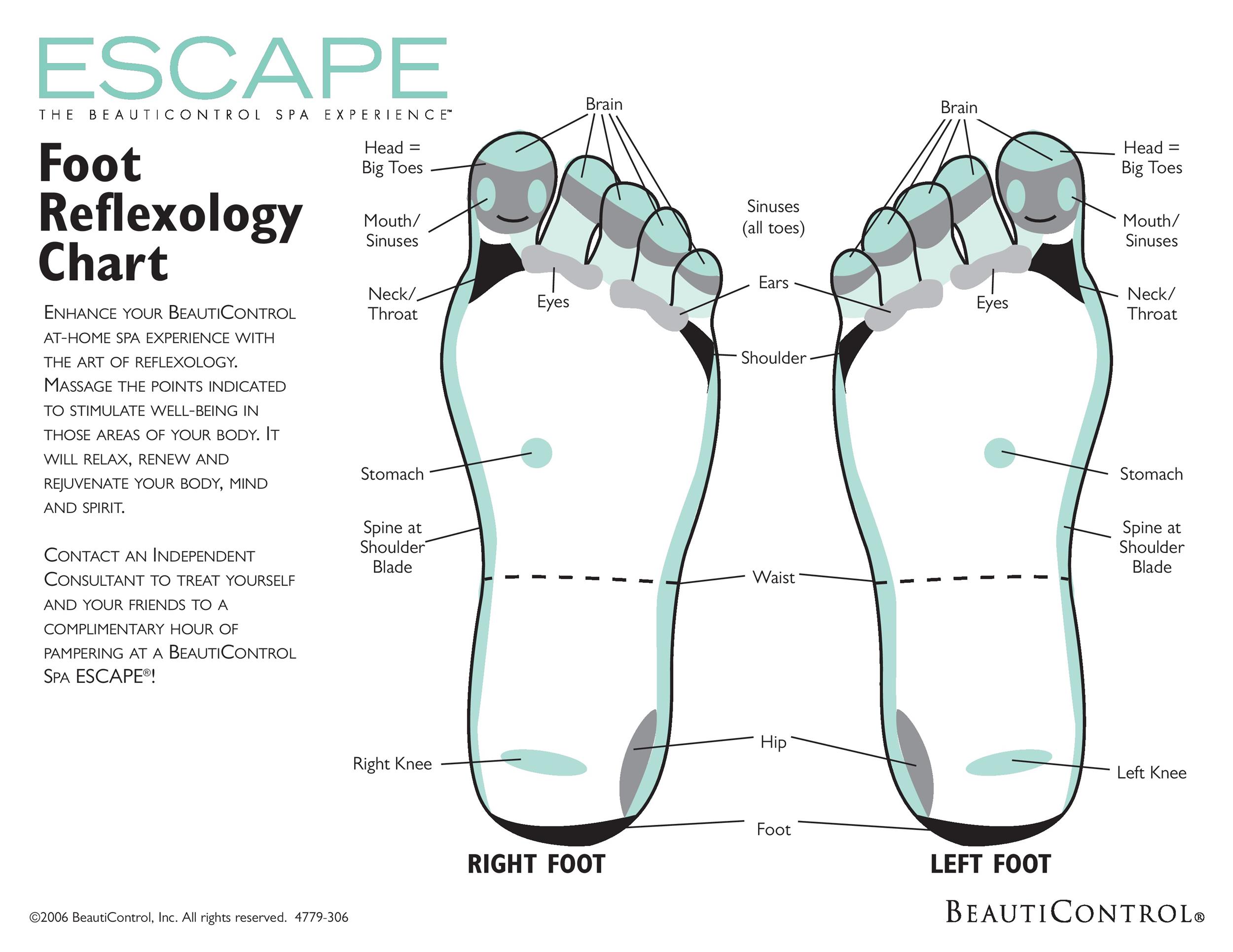 Blank Foot Charts For Reflexology