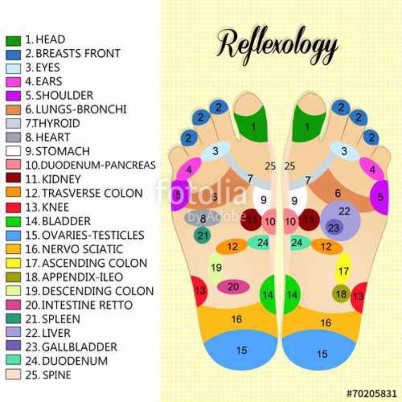 Free Reflexology Foot Chart