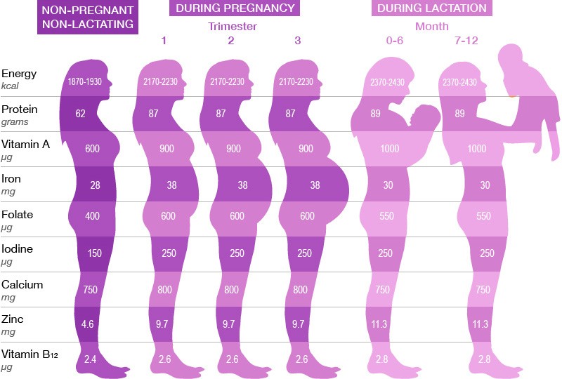 Baby Weight Chart In Pregnancy