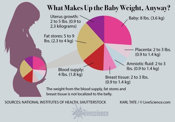 Womb Baby Weight Chart In Kg