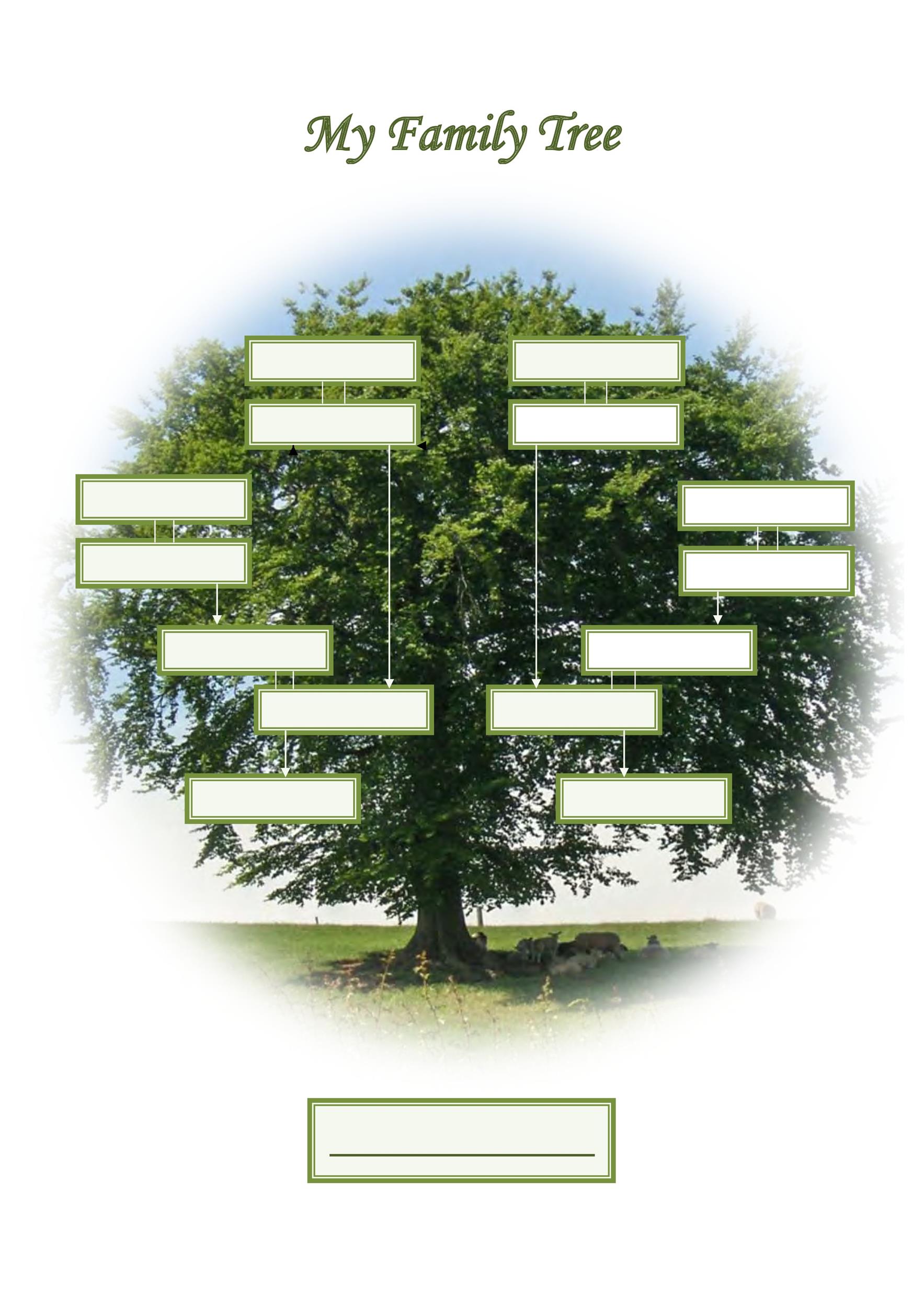 50  Free Family Tree Templates (Word Excel PDF) ᐅ Template Lab