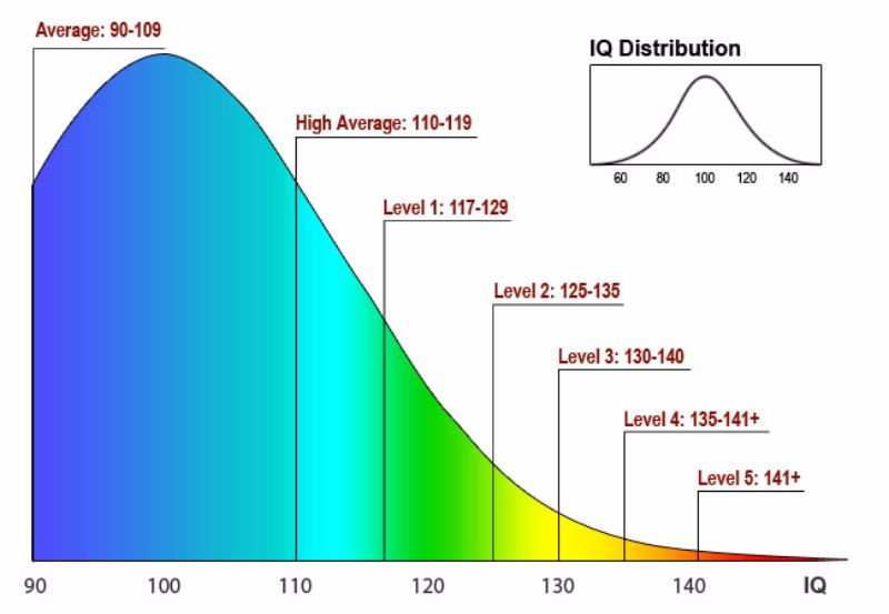 Full Scale Iq Chart