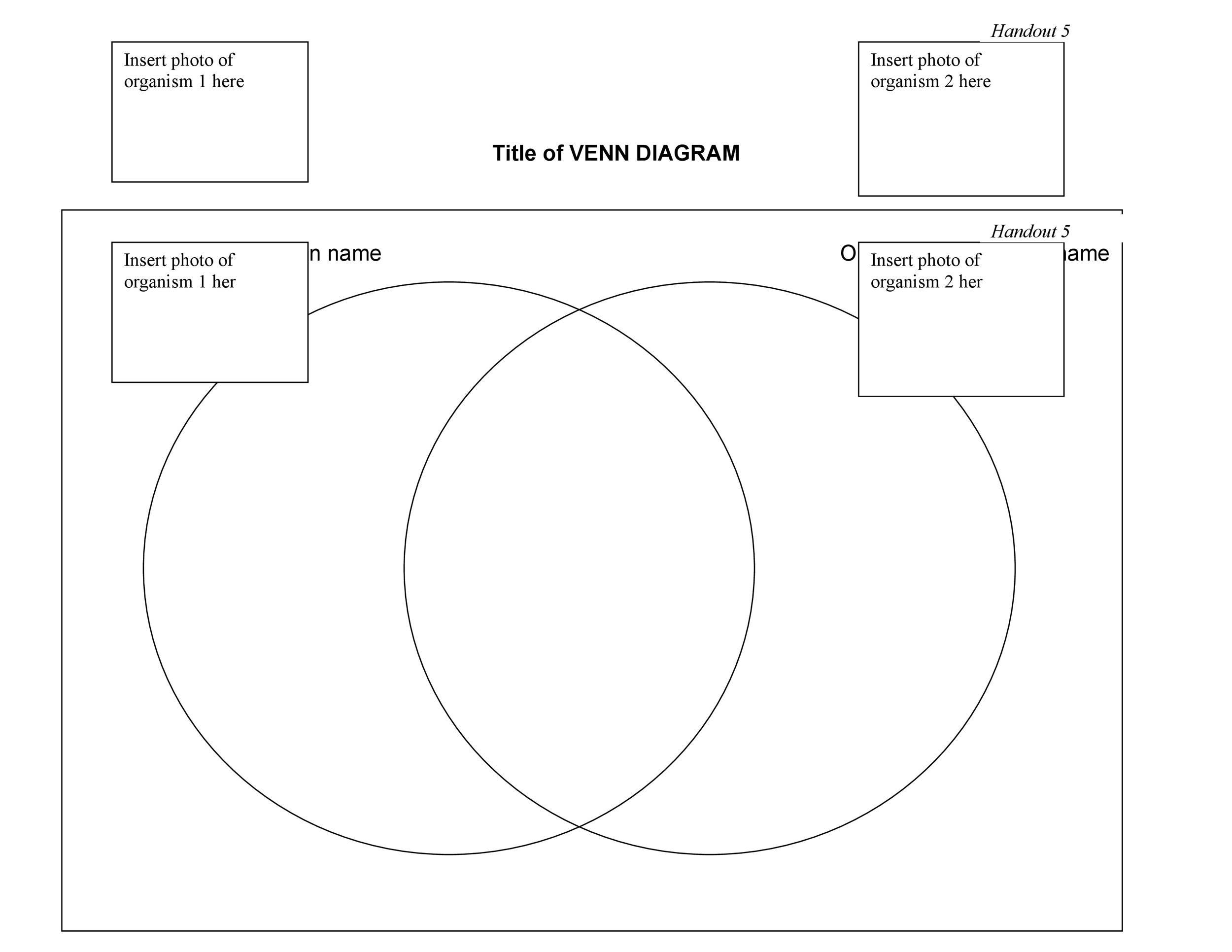 Venn Diagram Template 26