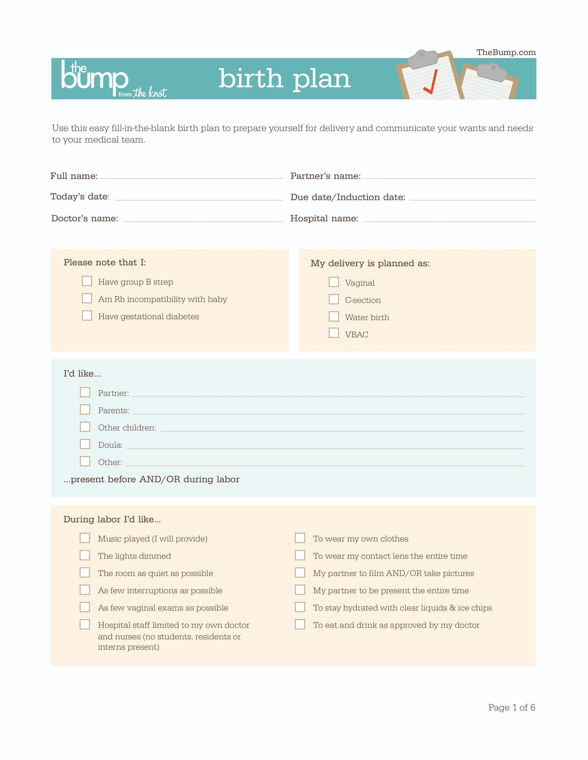 Hospital Birth Plan Template for High-Risk Pregnancy