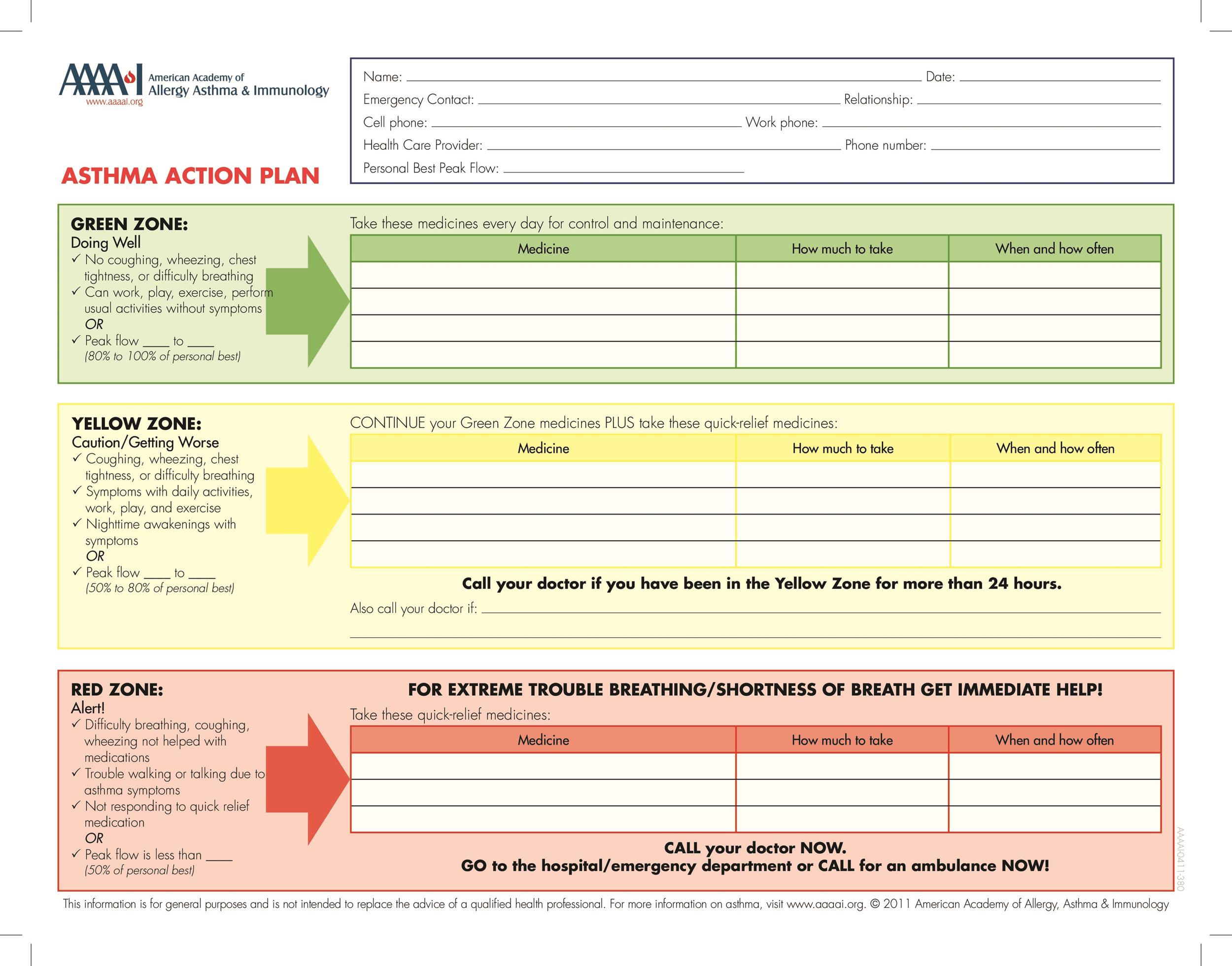 Editable Mentoring Action Plan Template