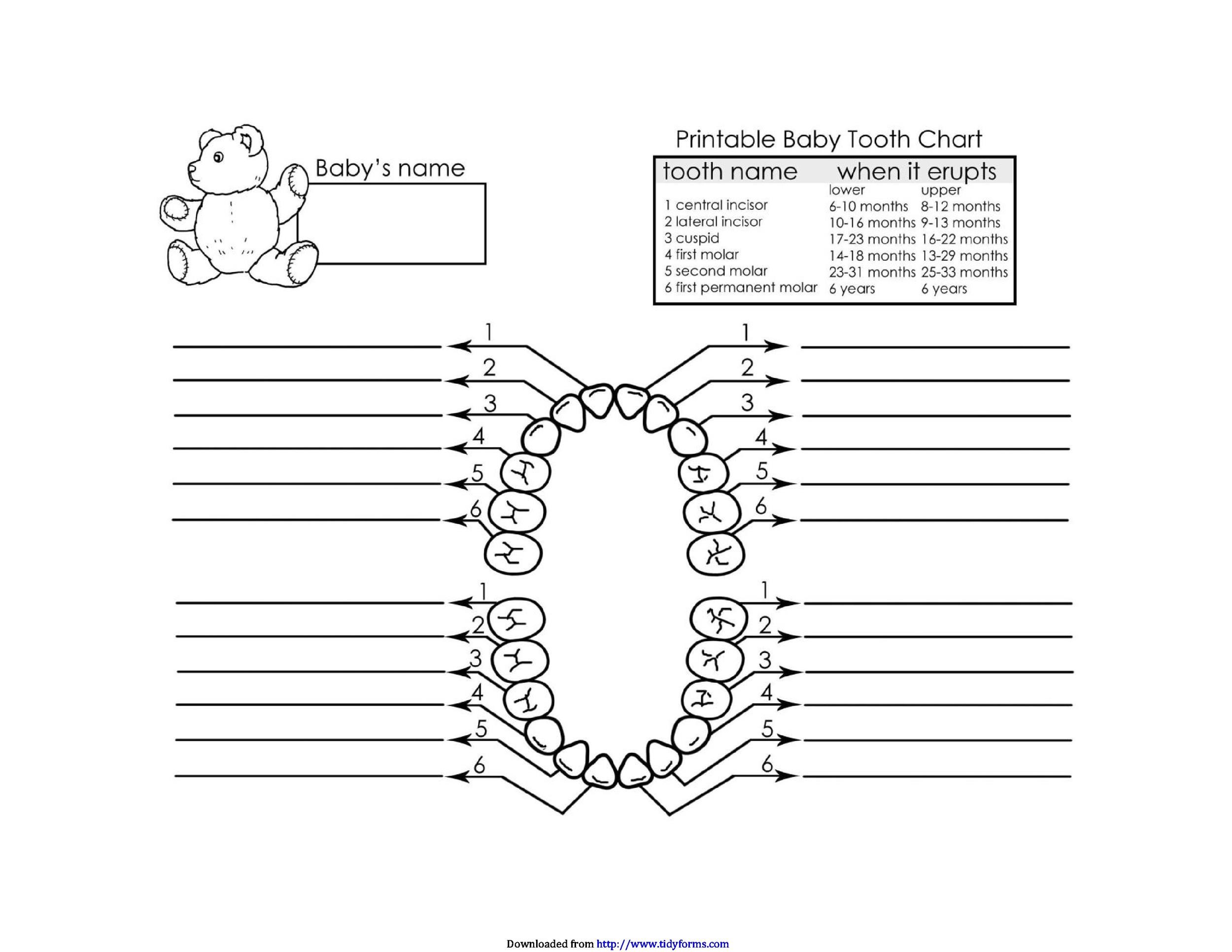Downloadable Printable Dental Charting Forms Master of