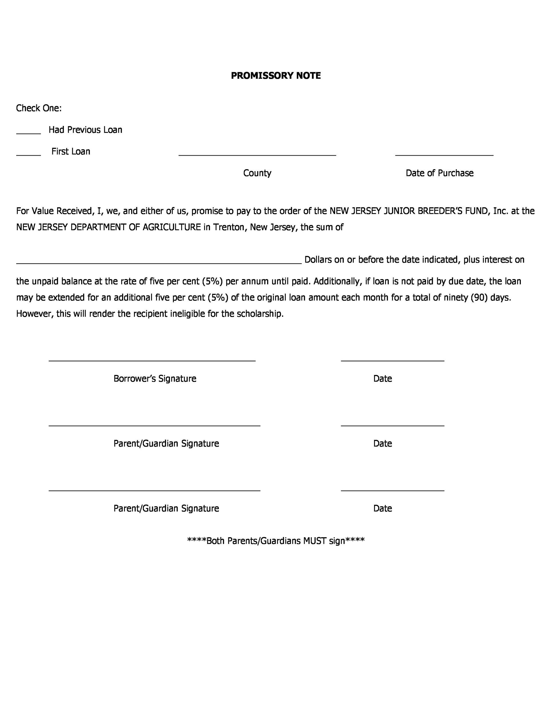 45 Free Promissory Note Templates Forms Word Pdf Template Lab