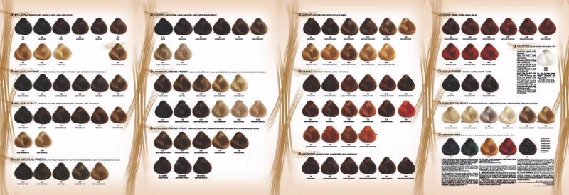 Revlon Professional Hair Colour Chart