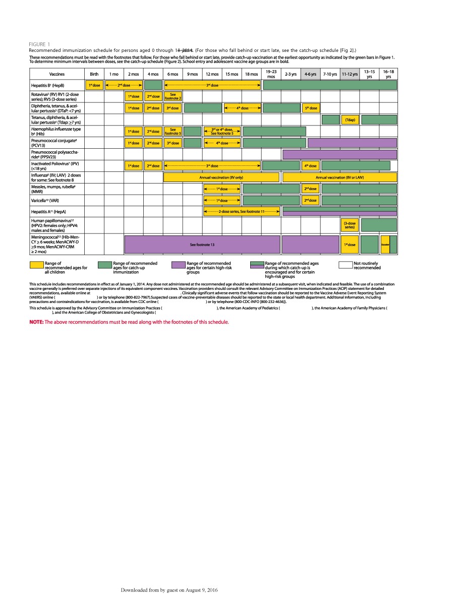 Vaccination Chart Pdf