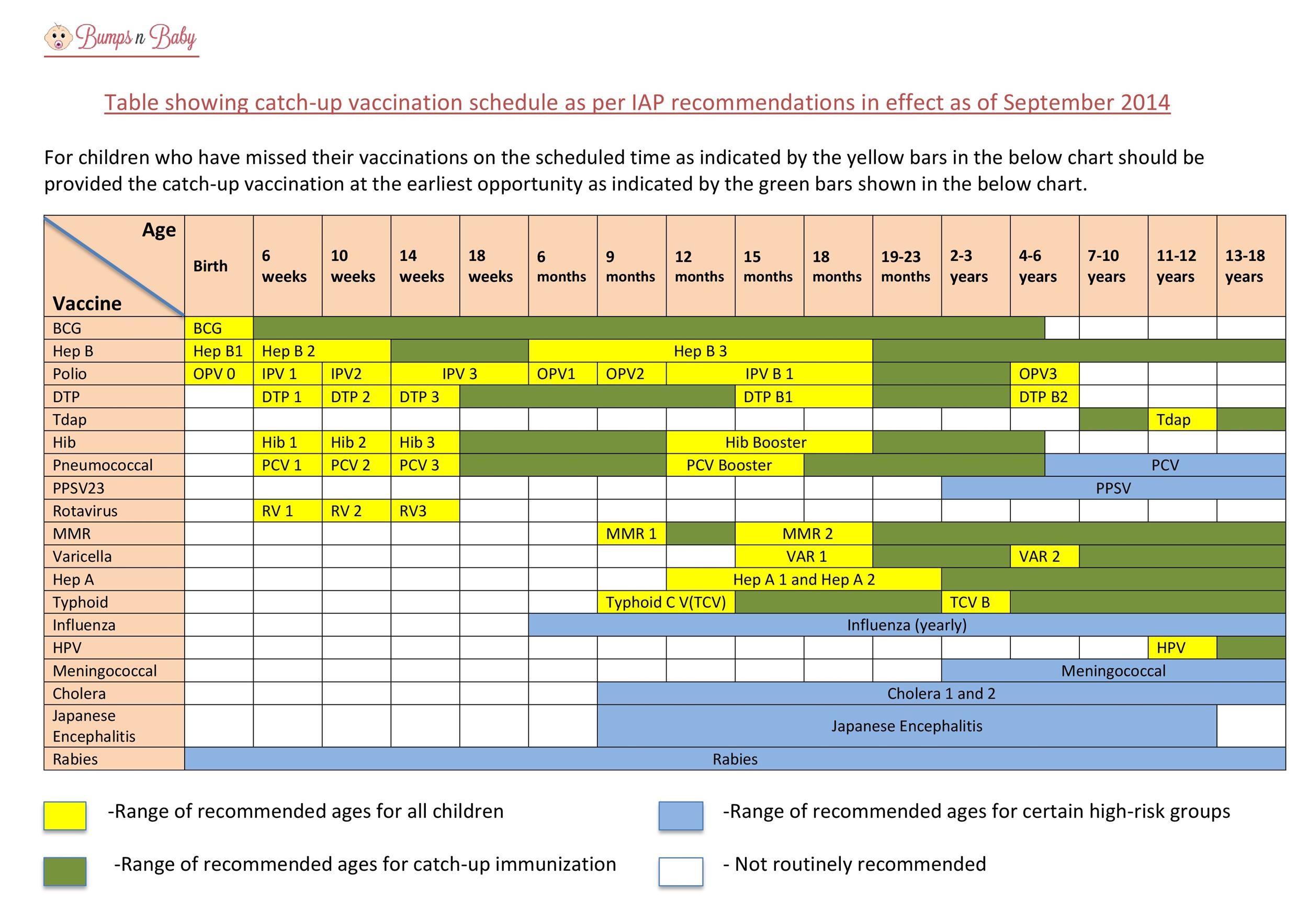 Blank Immunization Chart