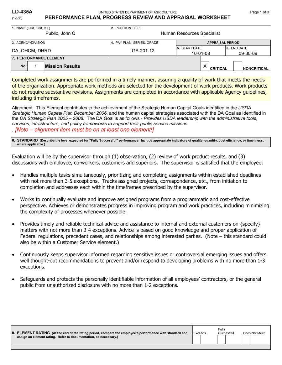 sample-summary-of-performance-review