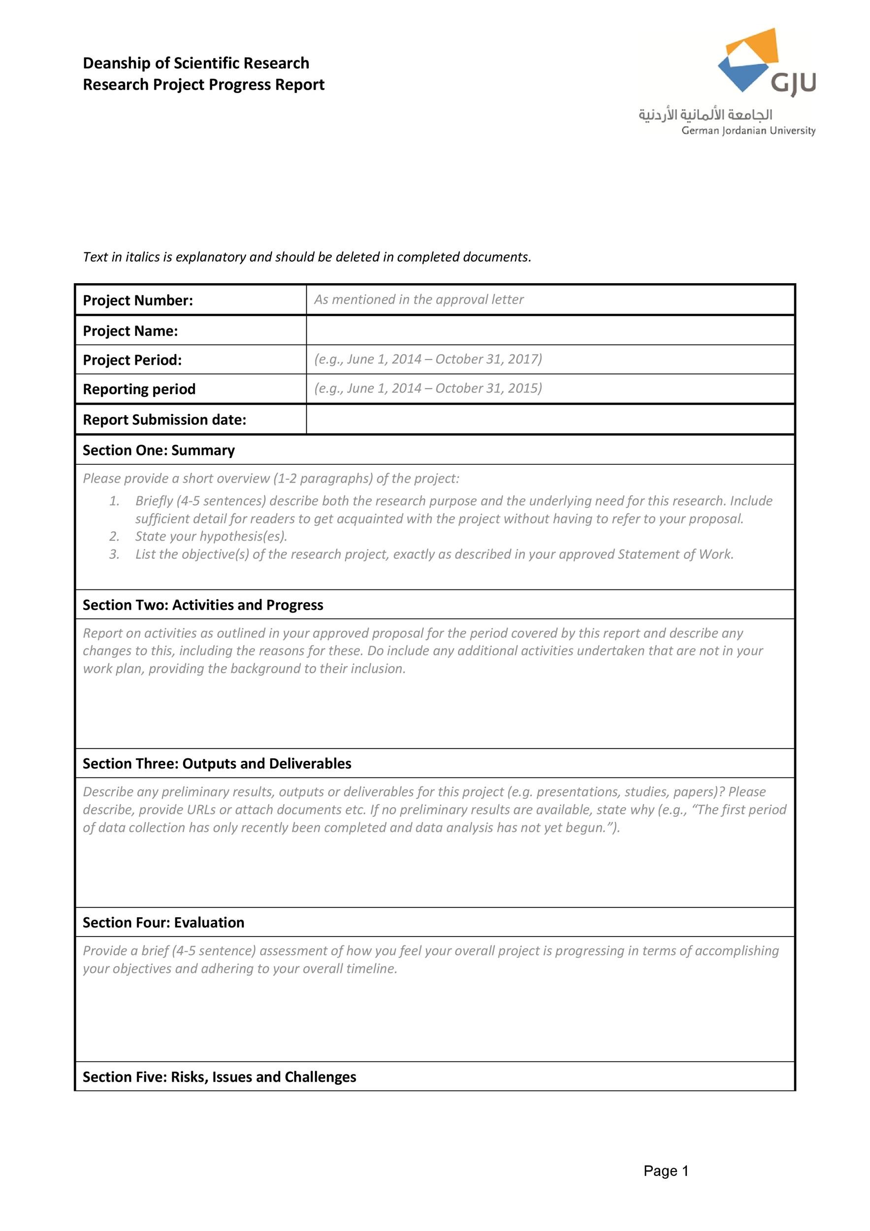 Section 37 Report Template