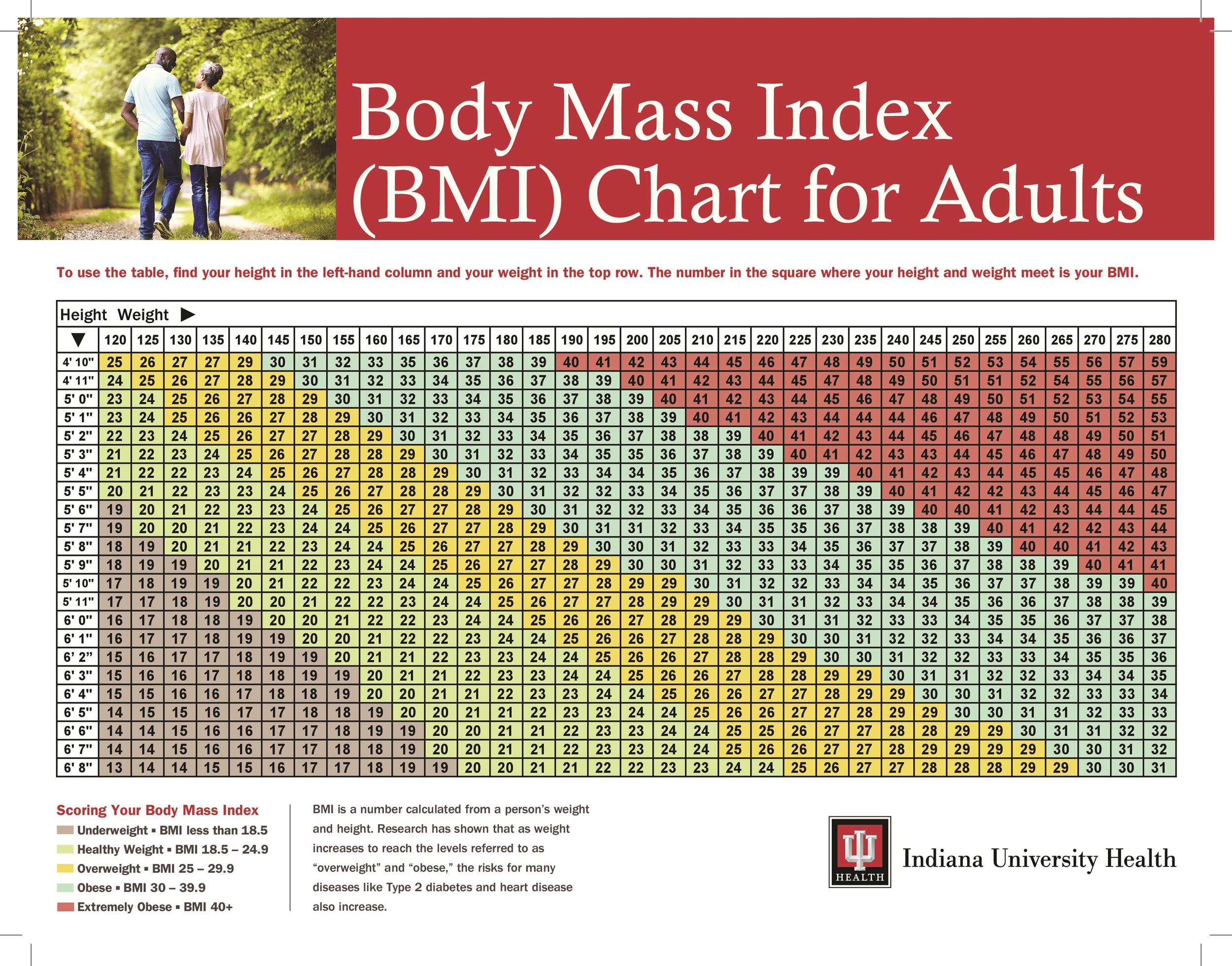Bmi Chart For Adults