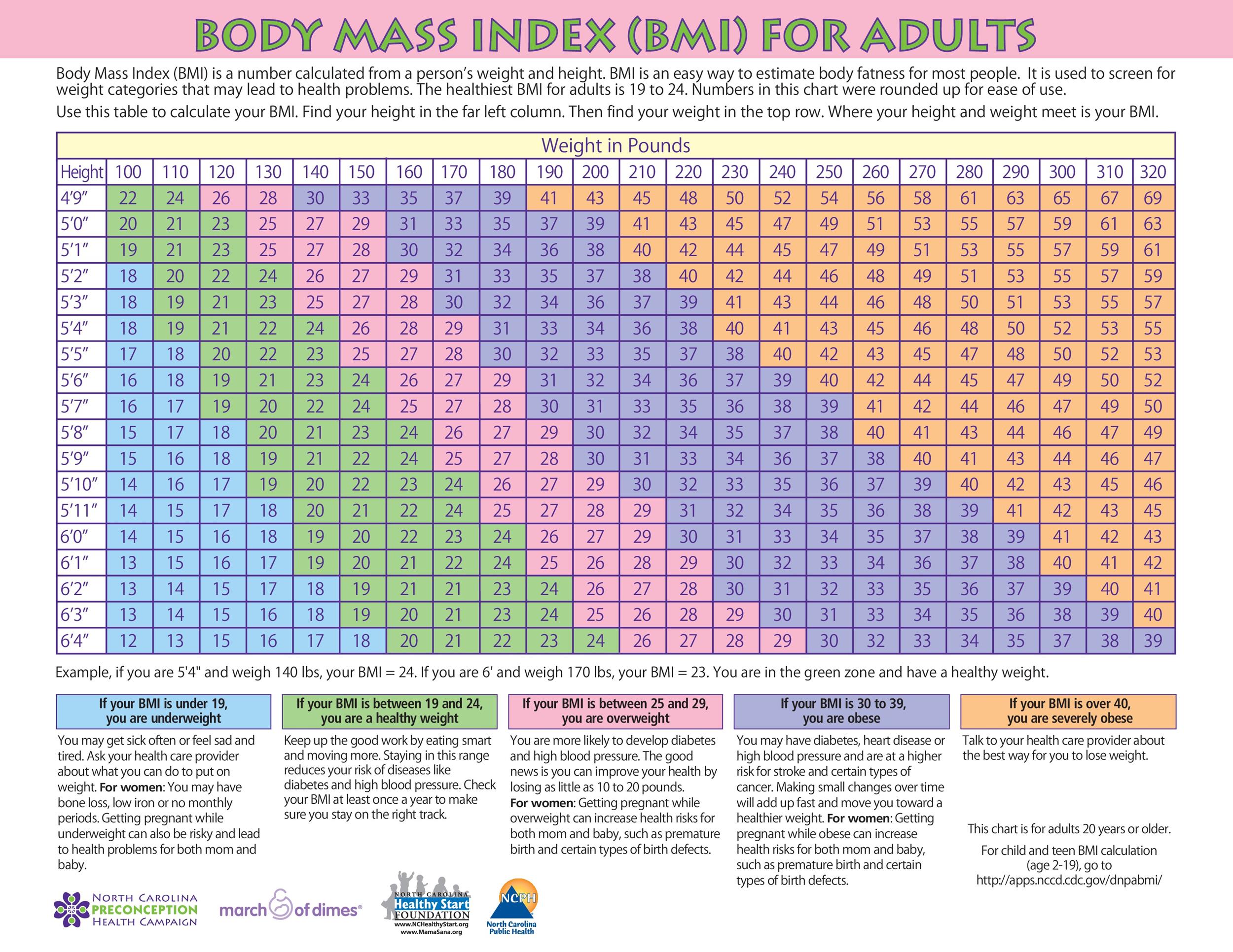 Bmi Index Chart Female