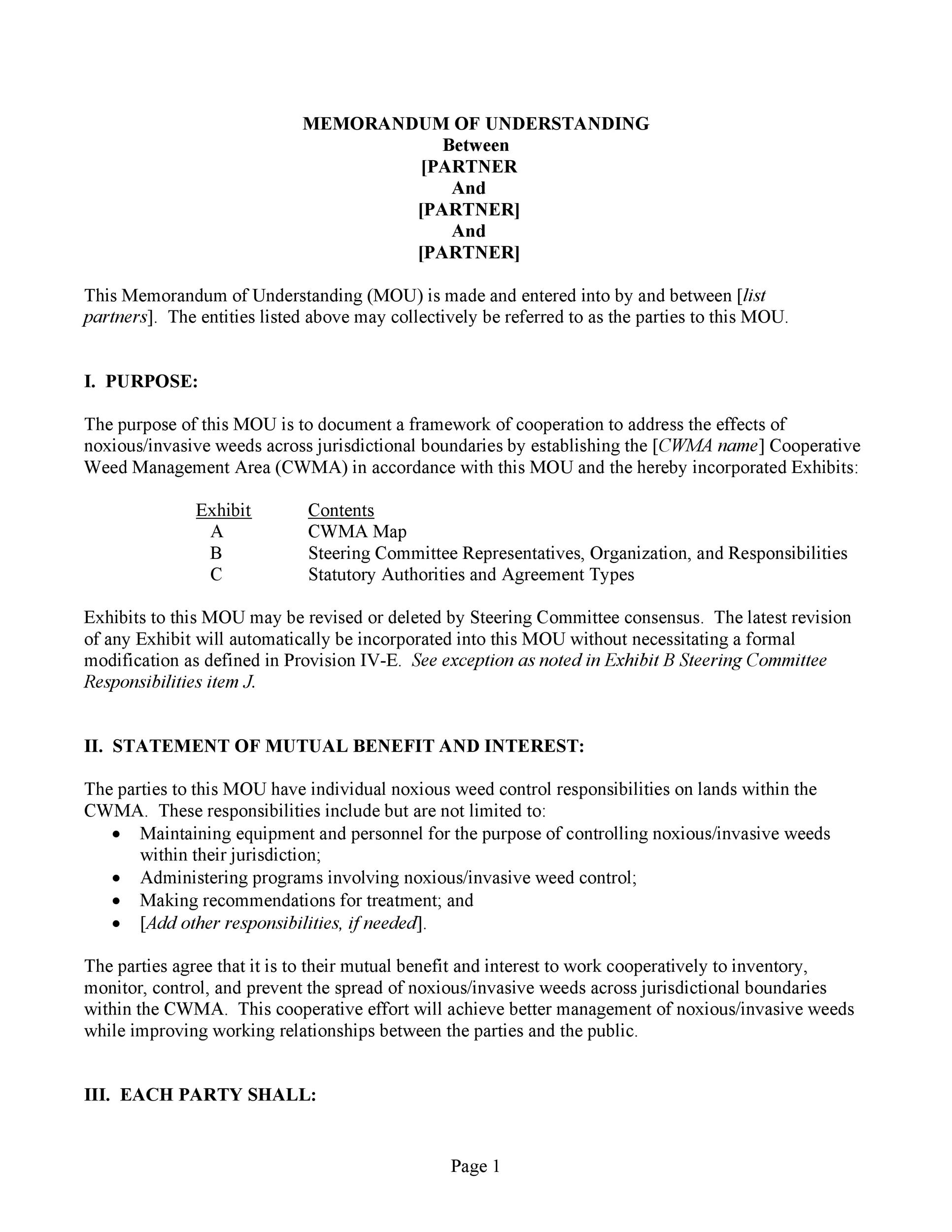 clinical videoconferencing in telehealth program development