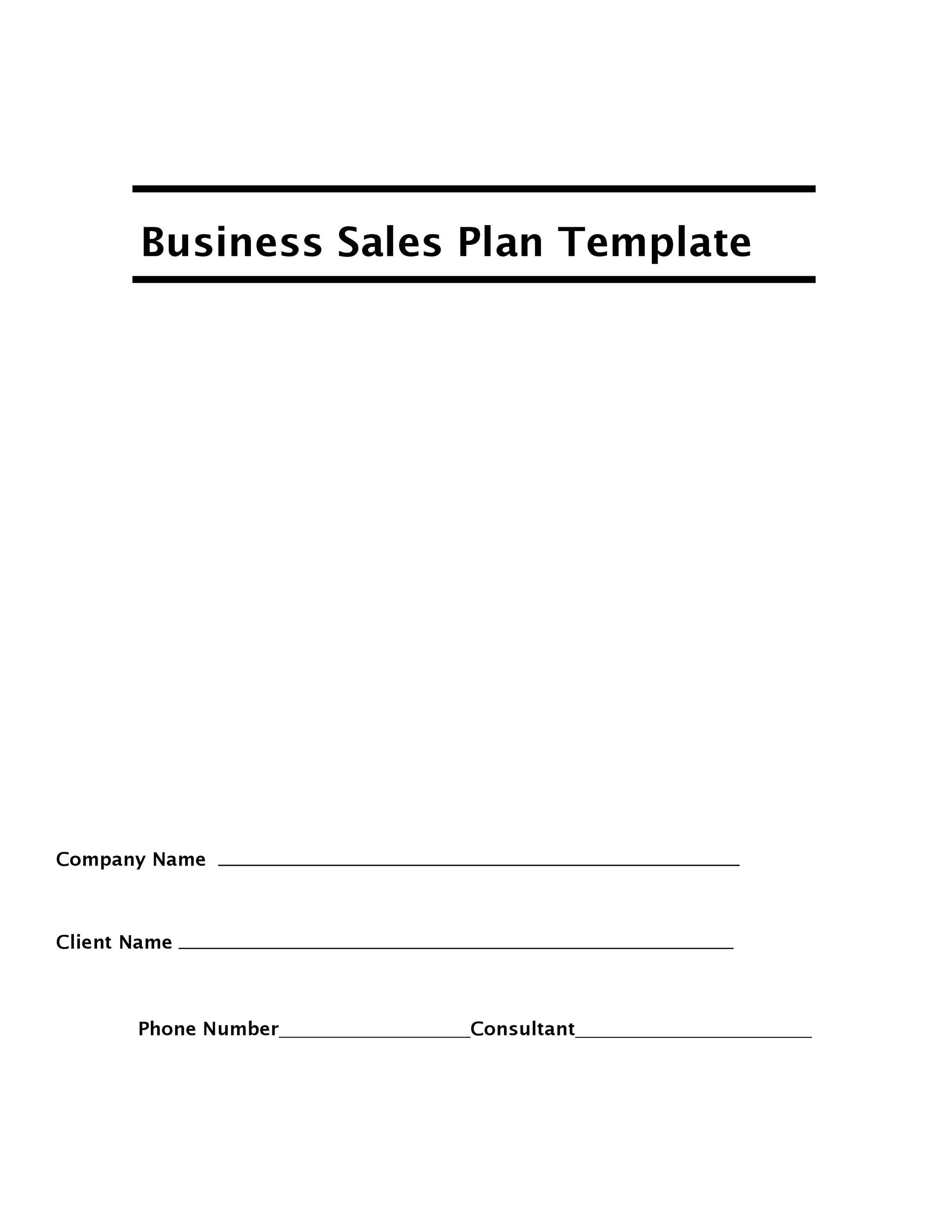 new business sales plan