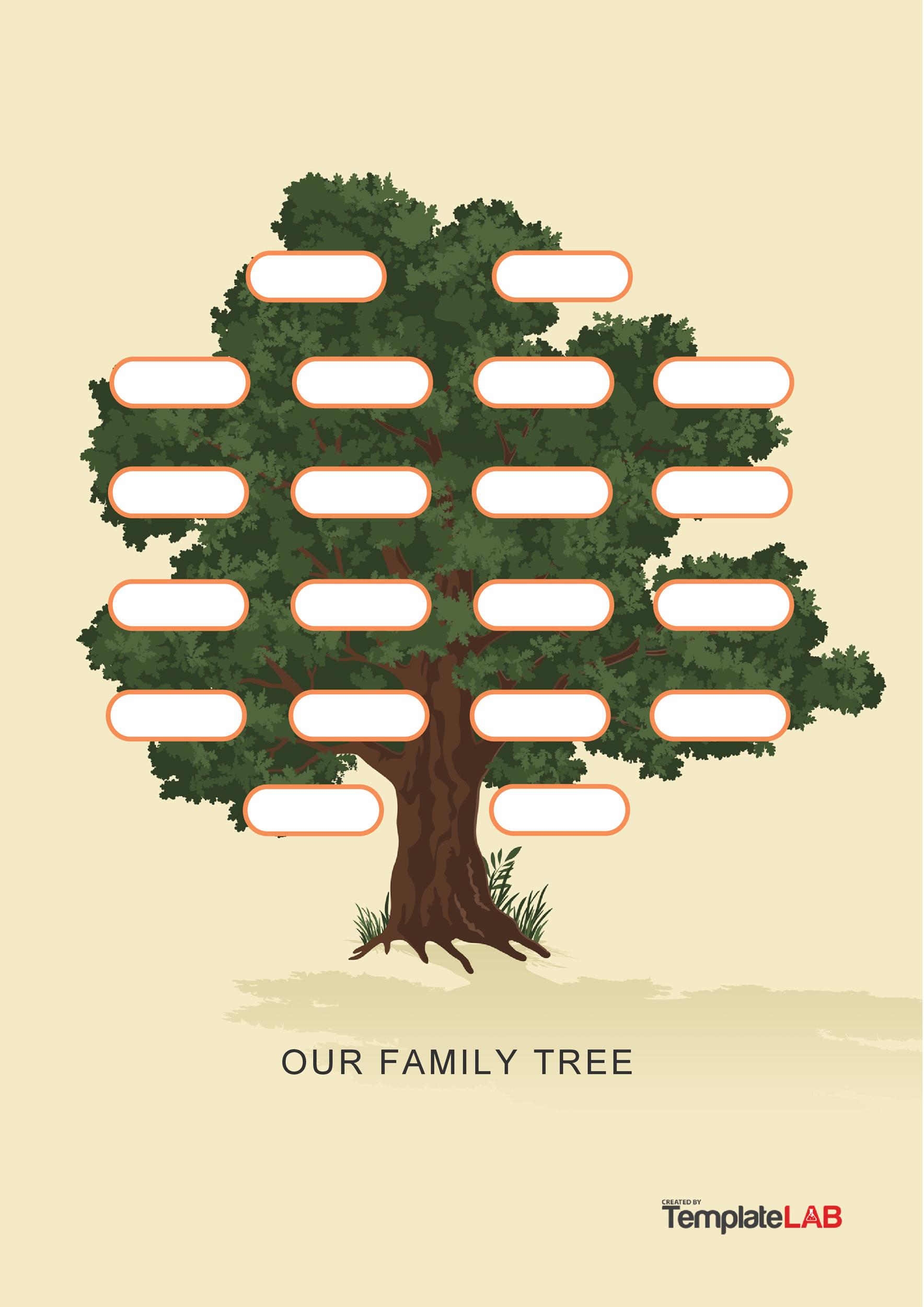41+ Free Family Tree Templates (Word, Excel, PDF) ᐅ TemplateLab