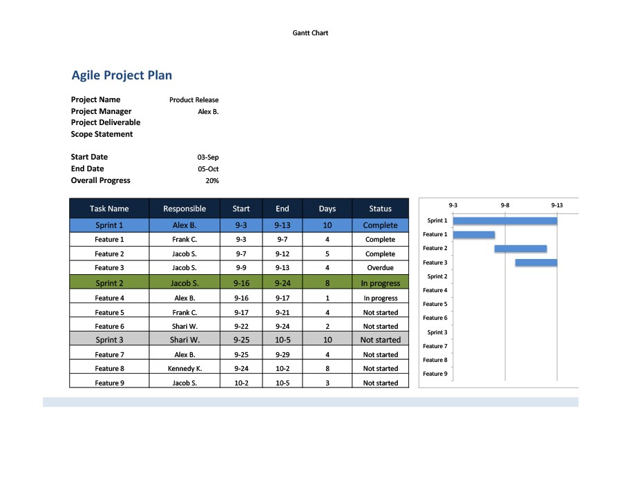 Project Monitoring Chart