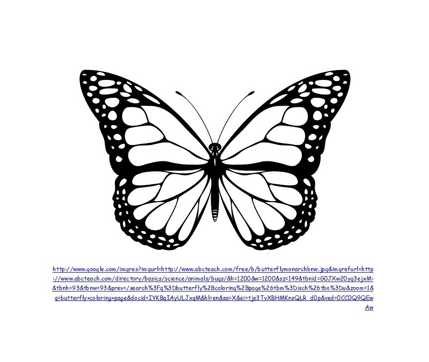 butterfly-cut-out-template-carinewbi