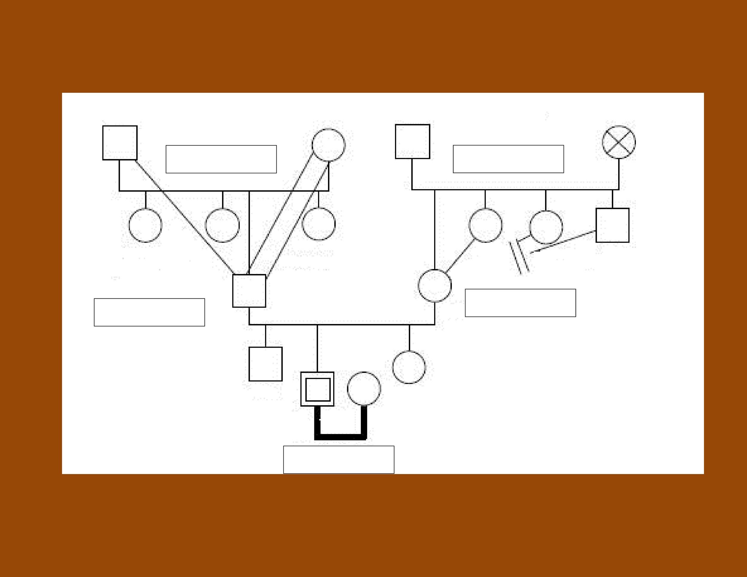 genogram key symbols