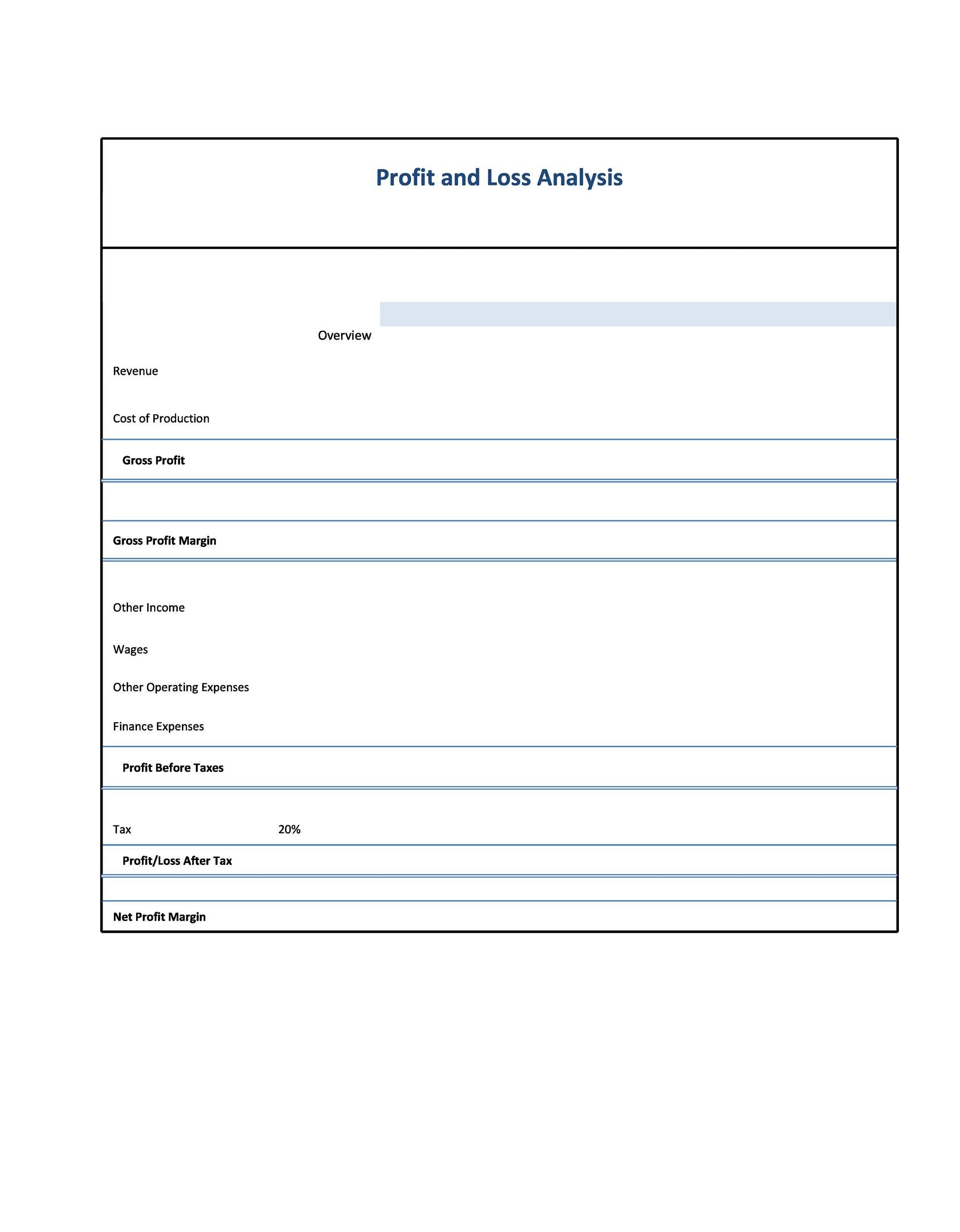 Free Profit and Loss Statement Template 13
