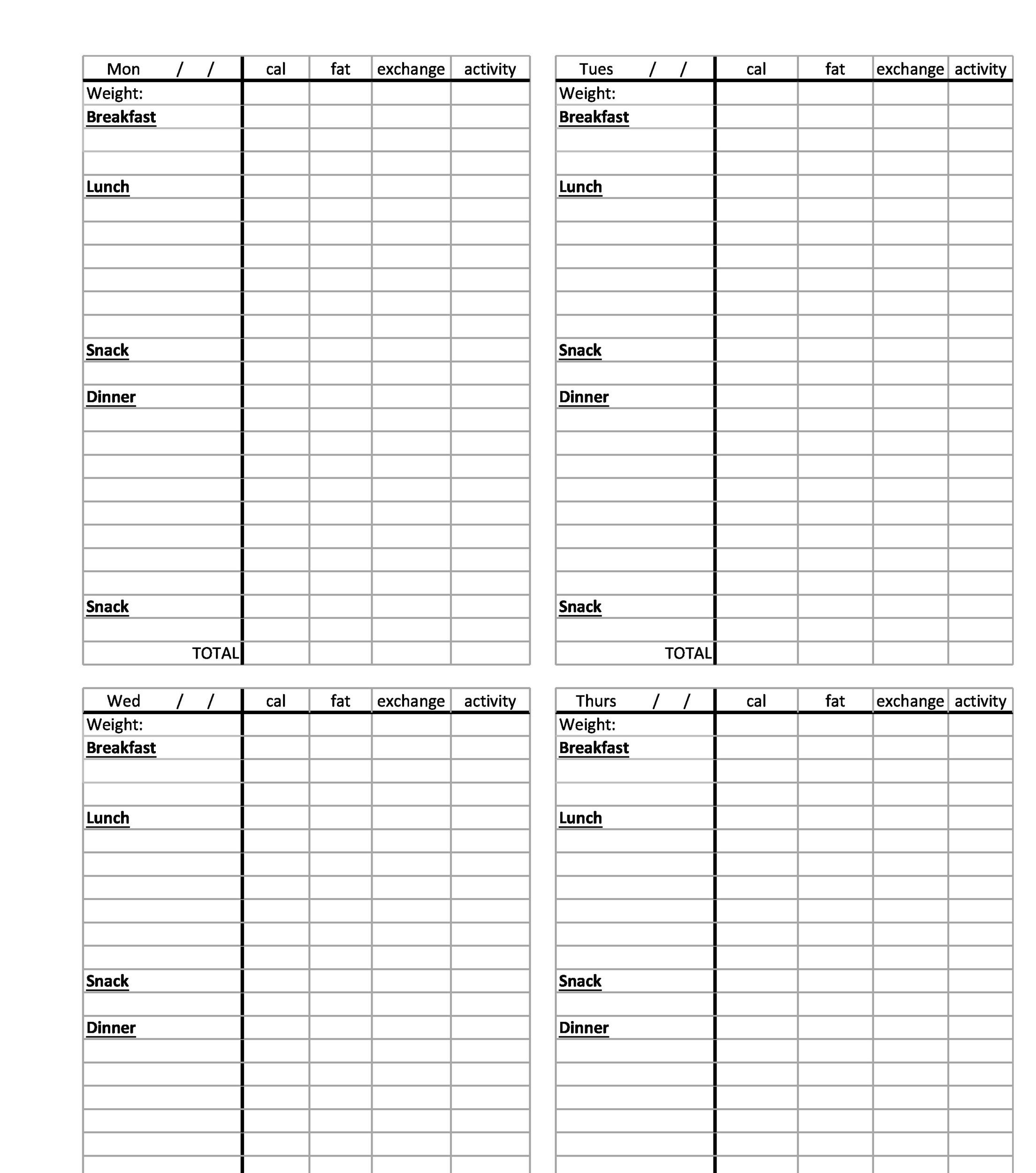 Free Food Diary Template 06
