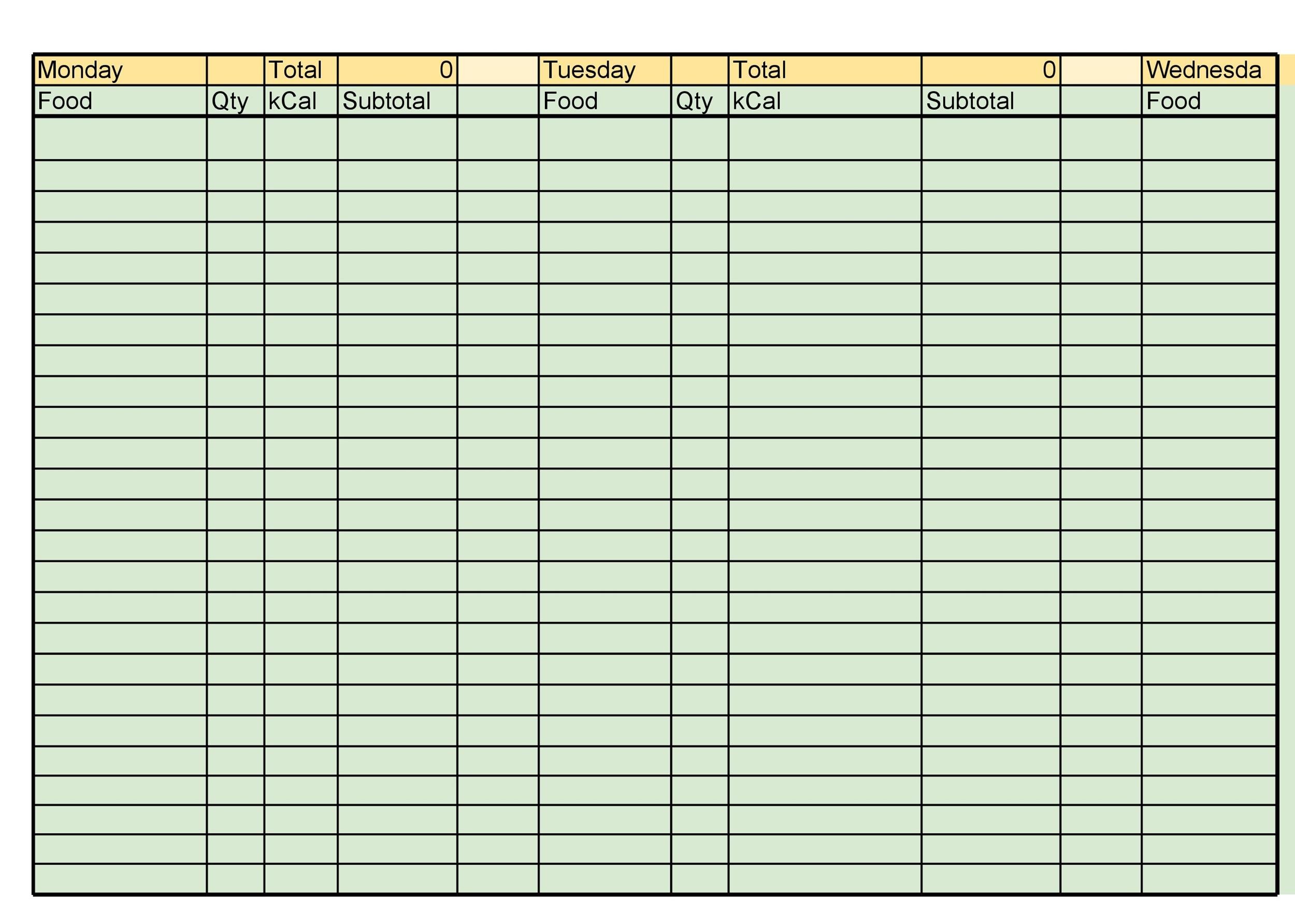 Free Food Diary Template 13