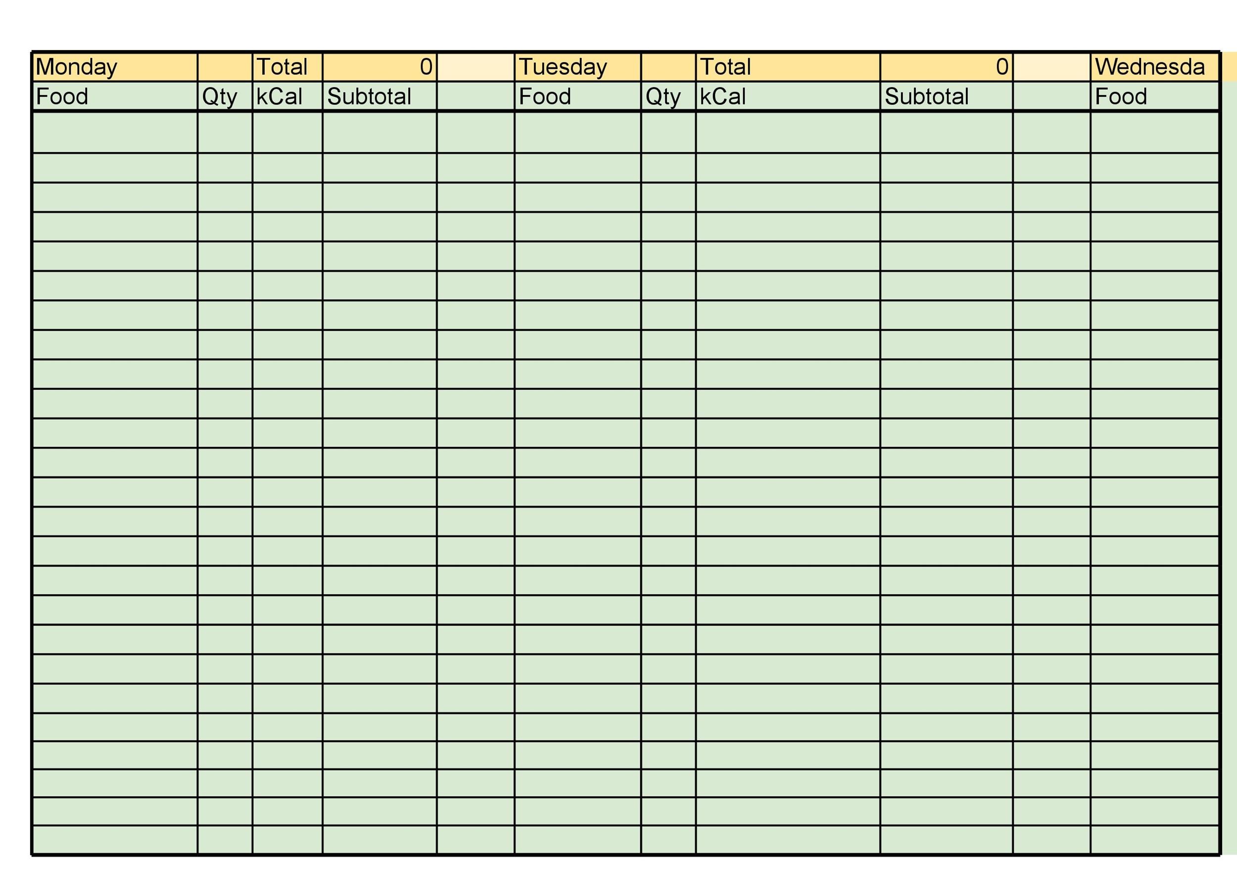 weight watchers daily food tracker template