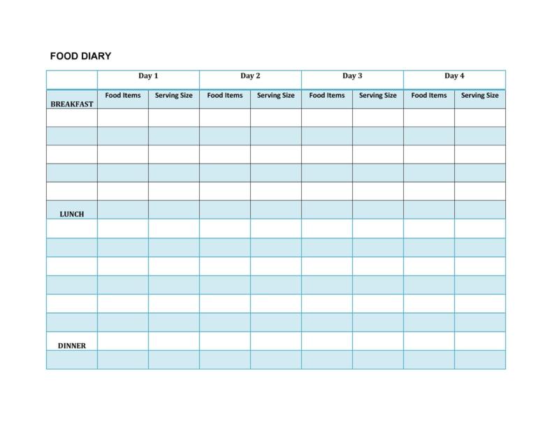 Excel Food Diary Template