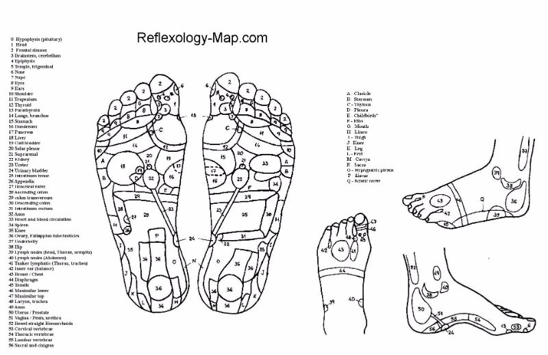 Ingyenes láb reflexológia diagram 06