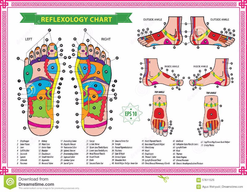 Gratis voetreflexologie grafiek 12