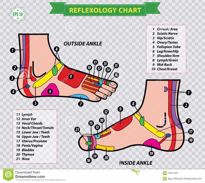 Gratis voetreflexologie grafiek 13