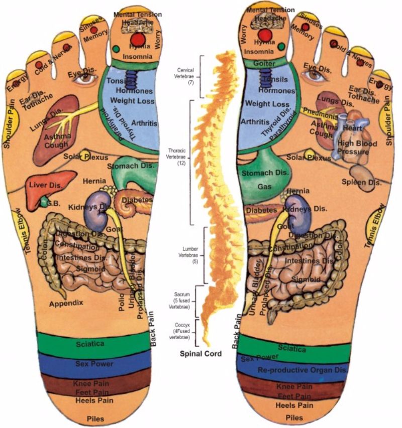 Volné nohy reflexologie graf 17