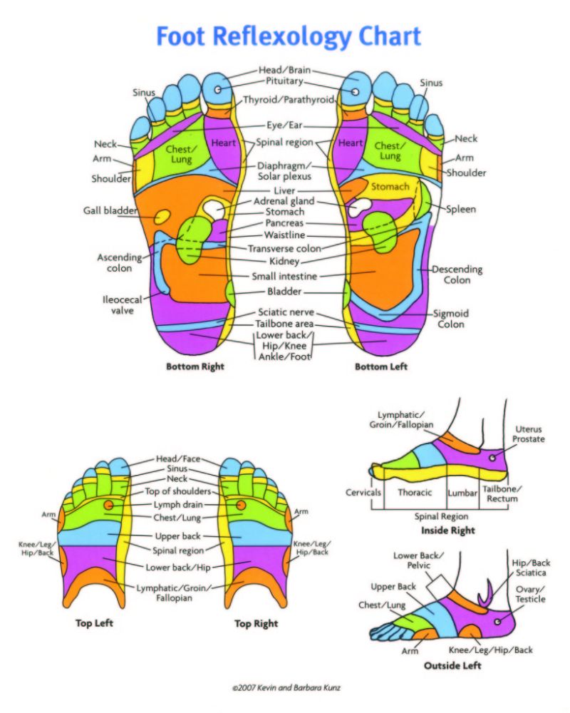 Reflexology Diagram Of The Foot