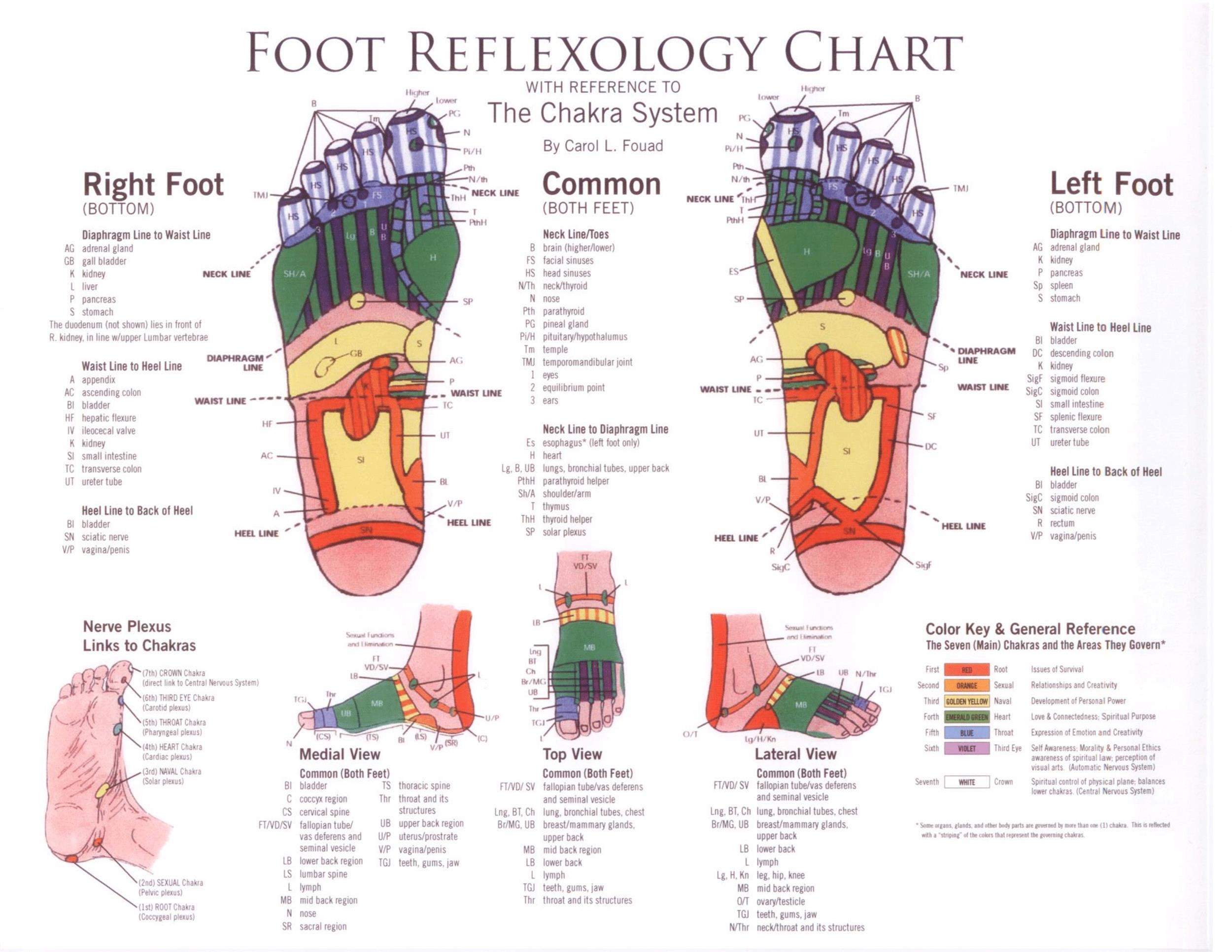 Free foot reflexology chart 22