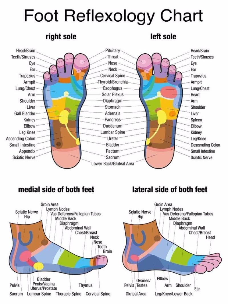 31 Printable Foot Reflexology Charts Maps TemplateLab