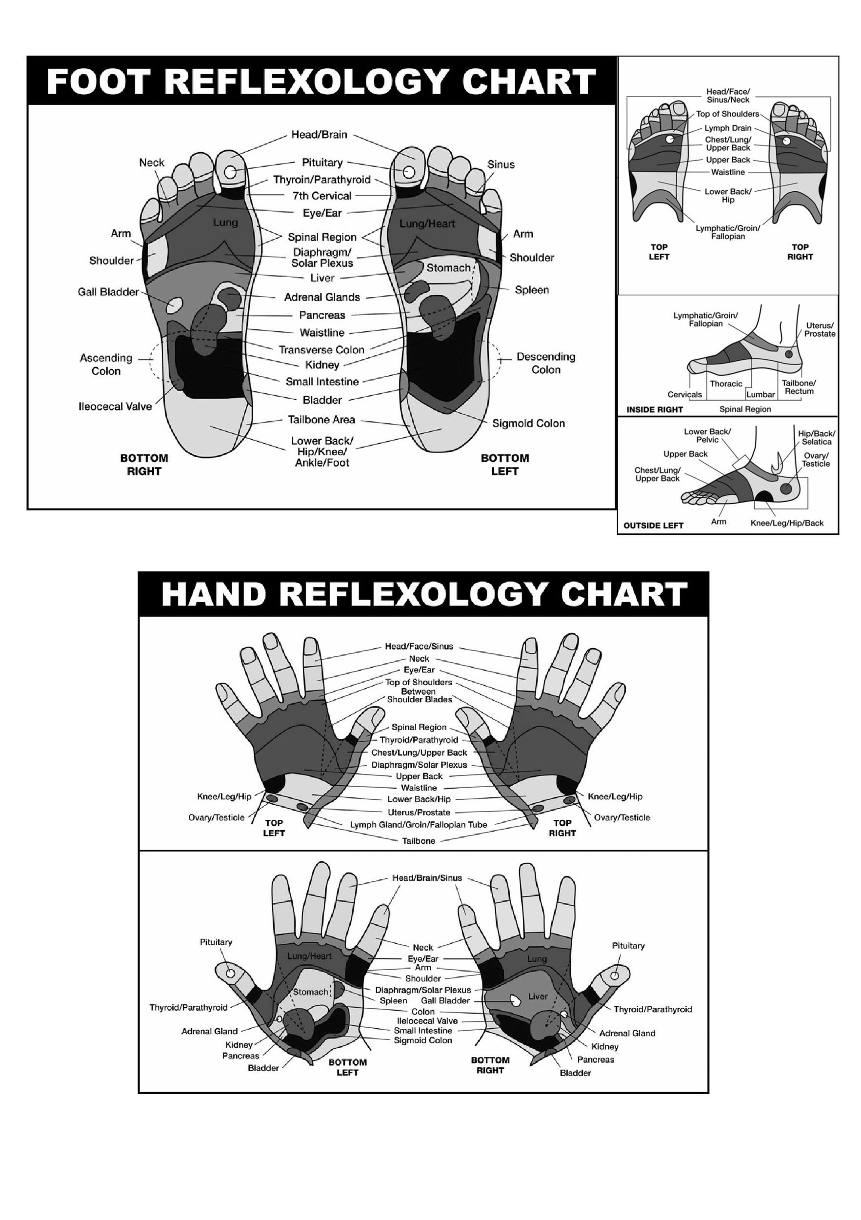 Free foot reflexology chart 24