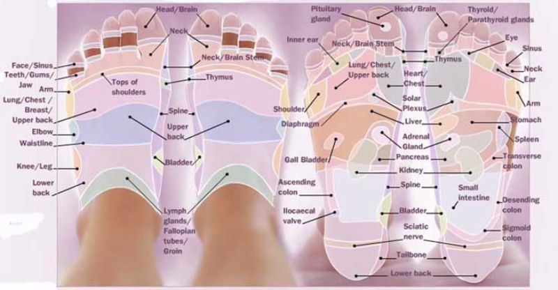 Gratis voetreflexologie grafiek 27