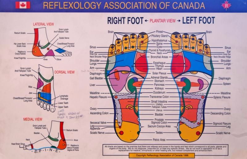 Free foot reflexology chart 28