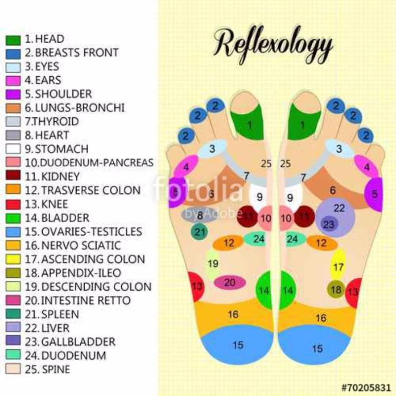 31 Printable Foot Reflexology Charts & Maps ᐅ TemplateLab
