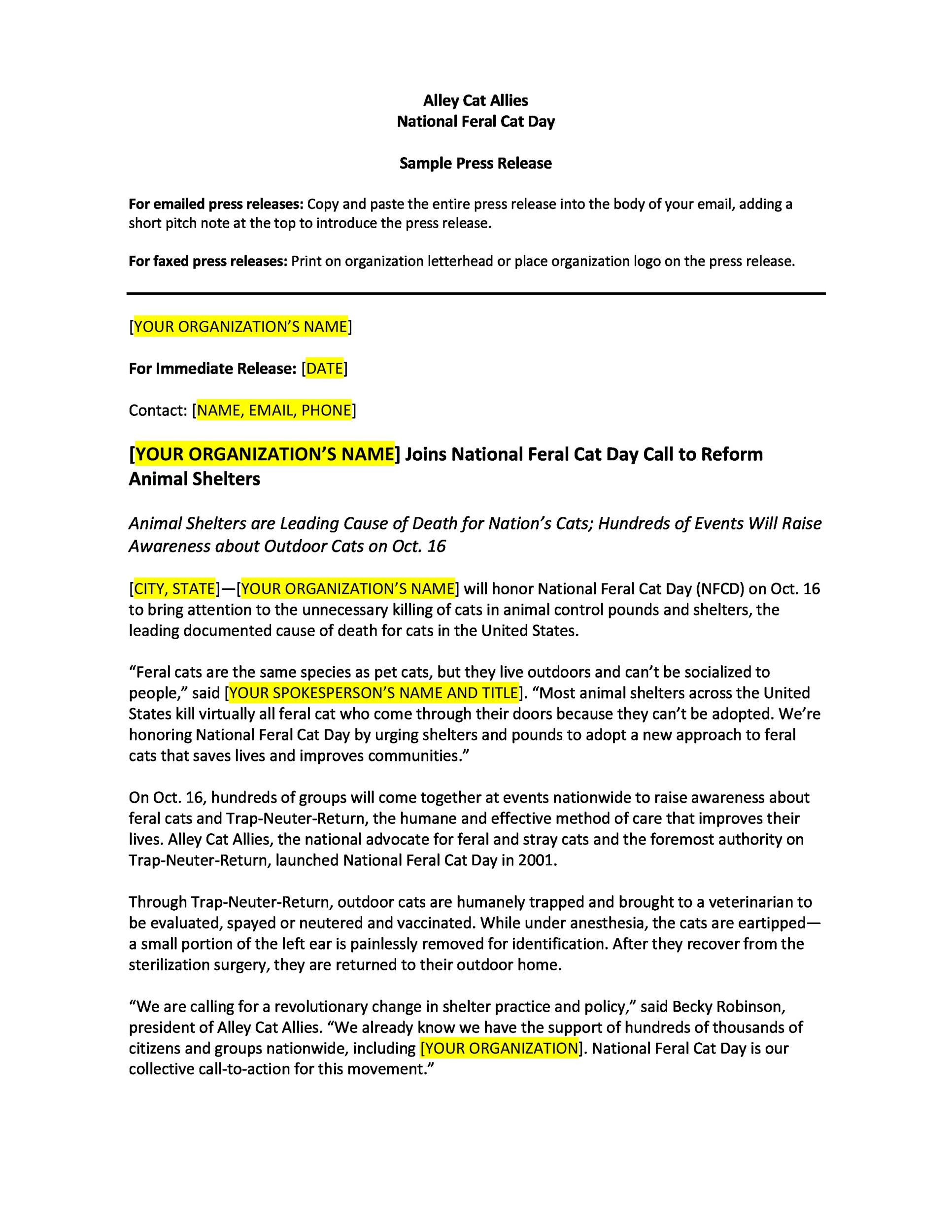 Free Press release template 20