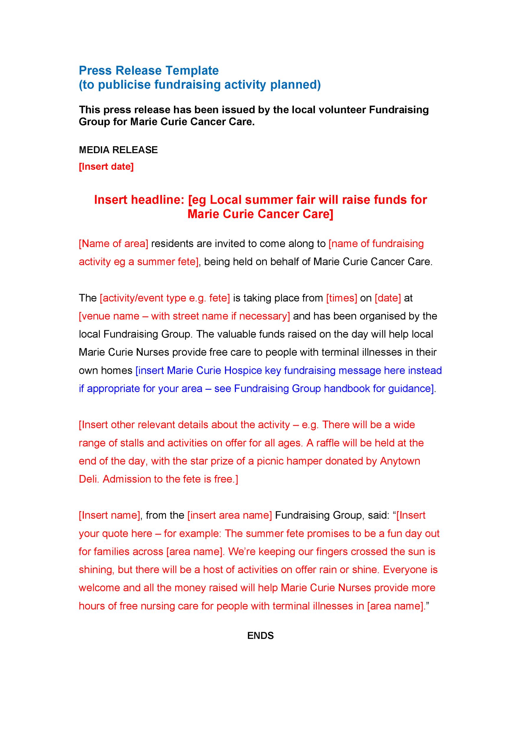 Free Press release template 43